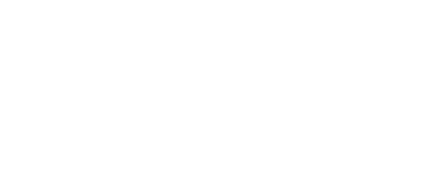 SNB Logo groß