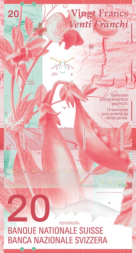 Banknote